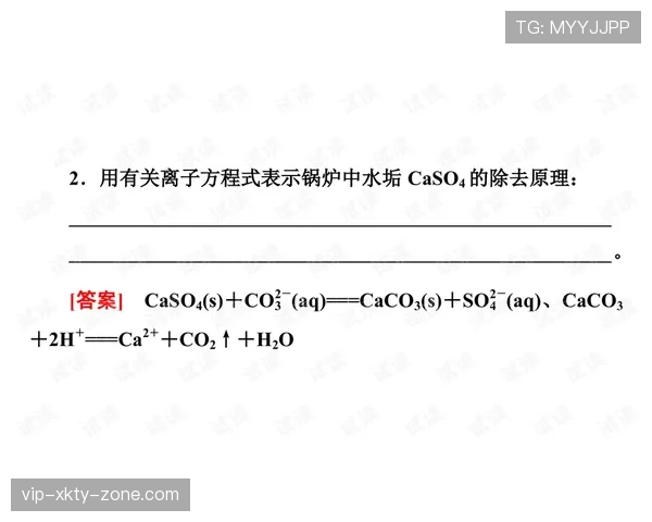 波尔图赛季中段展现强劲状态，攻防两端保持平衡，联赛排名持续提升。